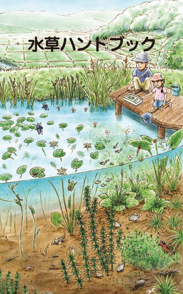 水生植物同定用ガイドブック 水草ハンドブック Wetlands Information